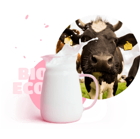 cow width milk picture